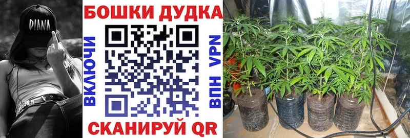 Как найти наркотики Белгород Альфа ПВП  Кокаин 