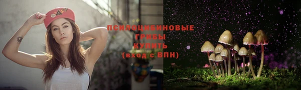 первитин Вяземский