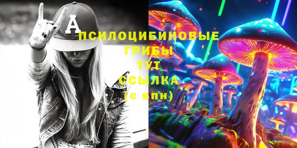 первитин Вяземский