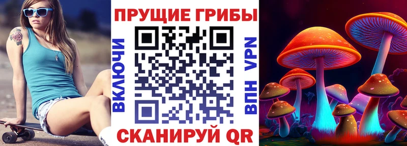 Галлюциногенные грибы Psilocybe  Белгород 